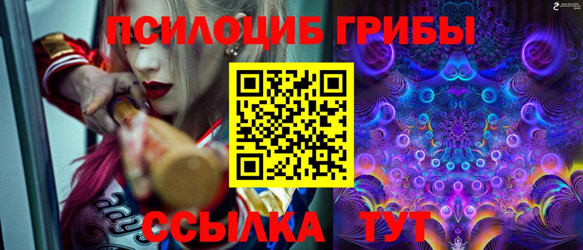 Галлюциногенные грибы MAGIC MUSHROOMS  Псилоцибиновые грибы прущие грибы  Волжский  Вход с VPN 