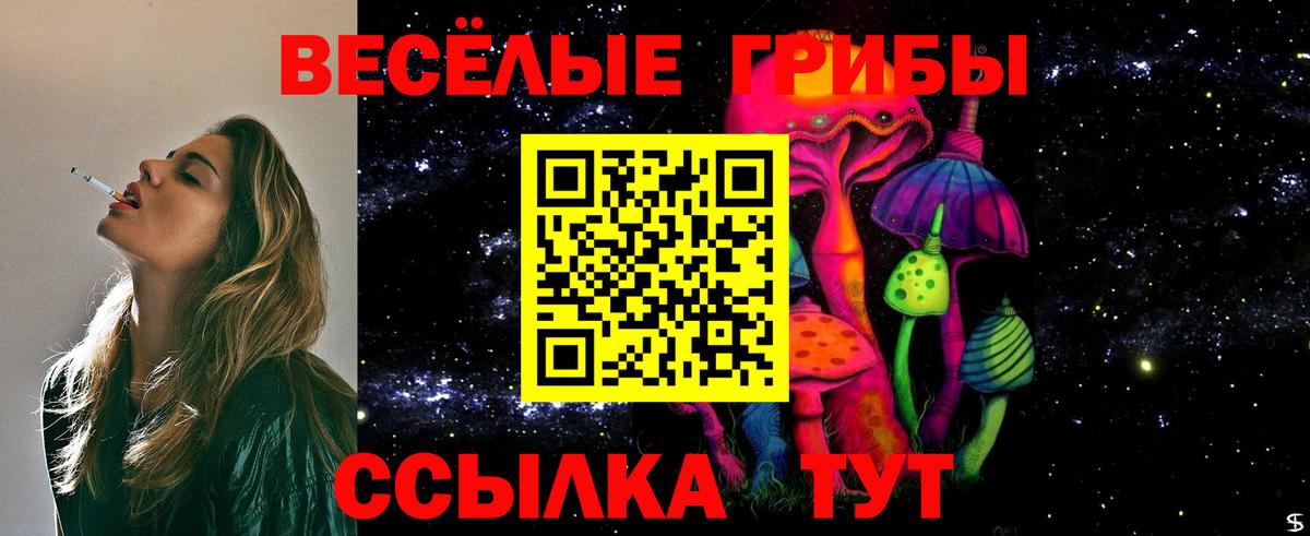 Галлюциногенные грибы мицелий Волжский
